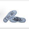 微信图片_20251201200440_404_27 DIOR x Jordan Air Jordan 1 High Og 'White Wolf Grey'